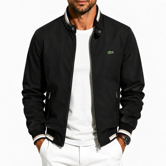 Modern Stand Collar Bomber Jacket