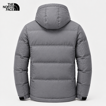 Back view of men's light gray padded hooded winter jacket