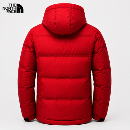 Back view of men's red padded hooded winter jacket